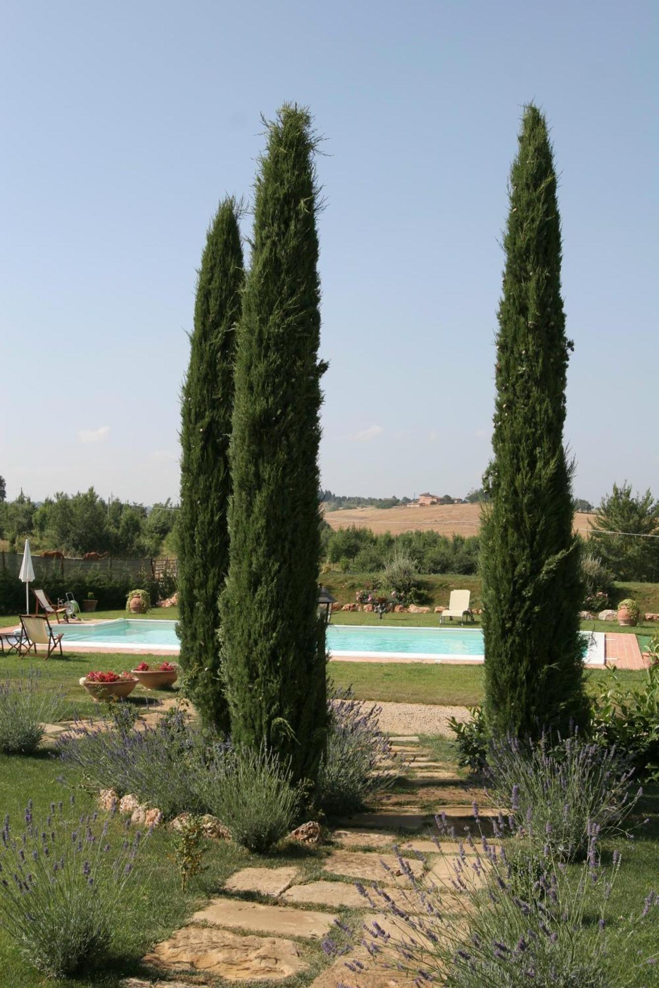 Agriturismo Renaccino Siena Kültér fotó